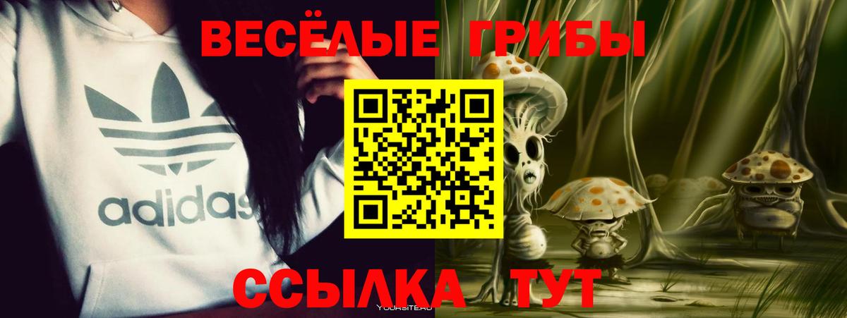 Галлюциногенные грибы ЛСД  Вход с VPN  продажа наркотиков  Бердск 
